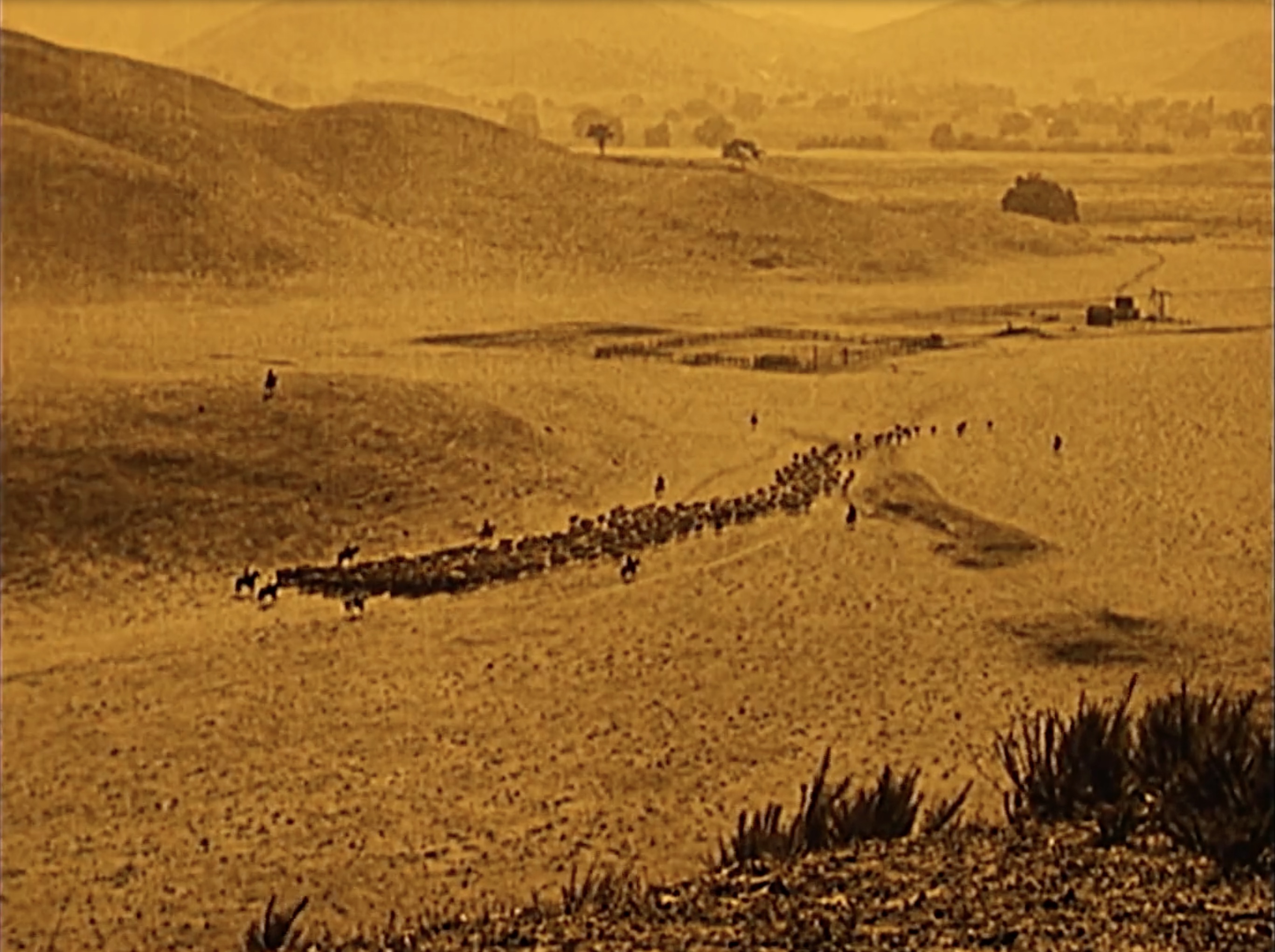 MOVING YOUR BUSINESS TO MIAMI?